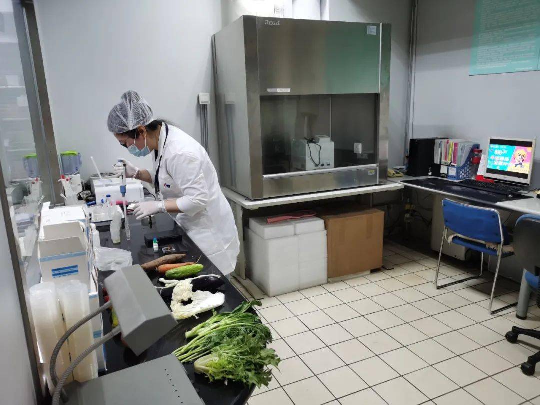 赤城食品检测实验室装修方案